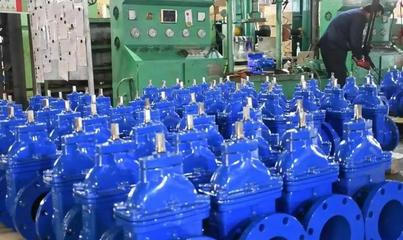 聚焦主戰(zhàn)略 錨定主定位 譜寫桑落墅鎮(zhèn)黃河流域生態(tài)保護(hù)和高質(zhì)量發(fā)展新篇章